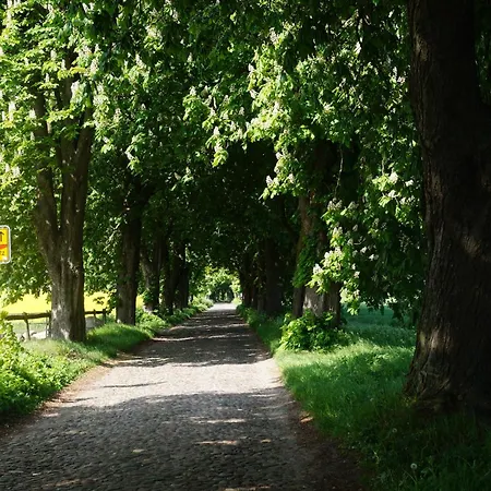 Apartament Reethaus Im Biosphaerenreservat Lancken-Granitz