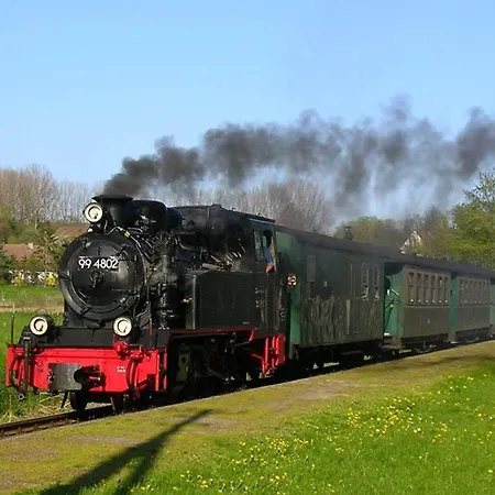 Reethaus Im Biosphaerenreservat Lancken-Granitz