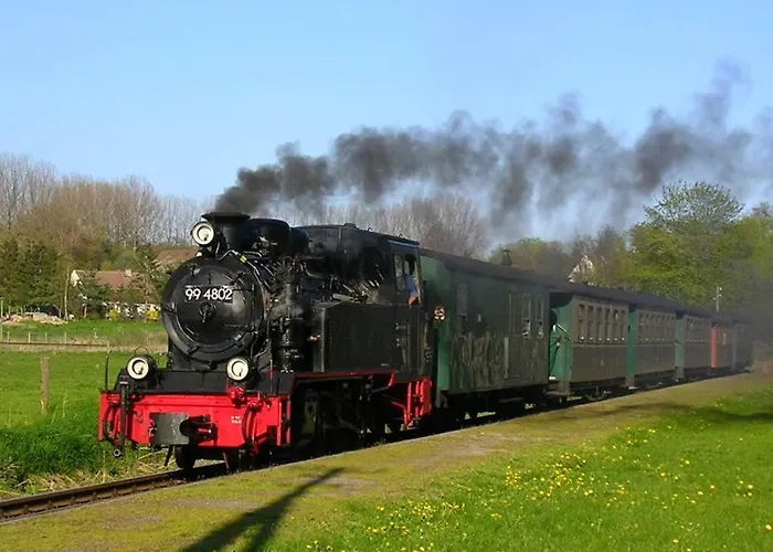 Reethaus Im Biosphaerenreservat Lancken-Granitz