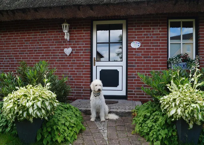 Reethaus Im Biosphaerenreservat Апартаменты *